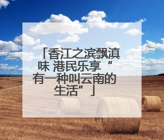 香江之滨飘滇味 港民乐享“有一种叫云南的生活”