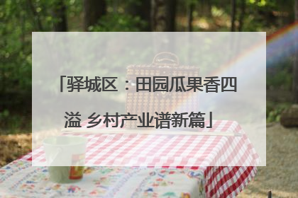 驿城区：田园瓜果香四溢 乡村产业谱新篇