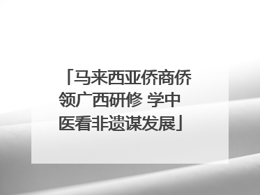 马来西亚侨商侨领广西研修 学中医看非遗谋发展