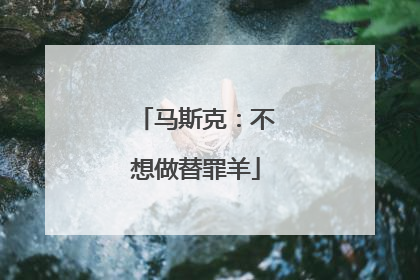 马斯克：不想做替罪羊