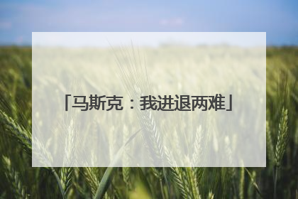 马斯克：我进退两难