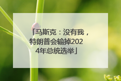 马斯克：没有我，特朗普会输掉2024年总统选举