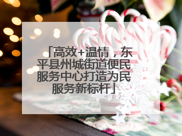 高效+温情，东平县州城街道便民服务中心打造为民服务新标杆