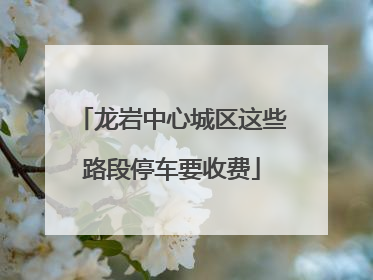 龙岩中心城区这些路段停车要收费
