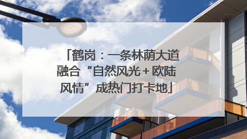 鹤岗：一条林荫大道融合“自然风光＋欧陆风情”成热门打卡地