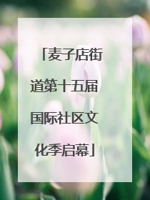 麦子店街道第十五届国际社区文化季启幕