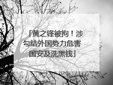 黄之锋被拘！涉勾结外国势力危害国安及洗黑钱