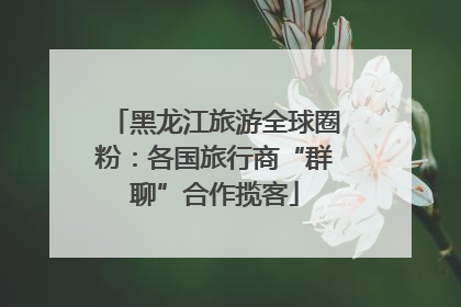 黑龙江旅游全球圈粉：各国旅行商“群聊”合作揽客