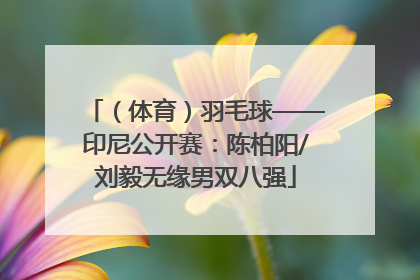 （体育）羽毛球——印尼公开赛：陈柏阳/刘毅无缘男双八强