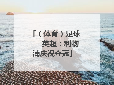 （体育）足球——英超：利物浦庆祝夺冠
