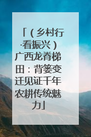 （乡村行·看振兴）广西龙脊梯田：背篓变迁见证千年农耕传统魅力