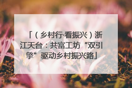 （乡村行·看振兴）浙江天台：共富工坊“双引擎”驱动乡村振兴路