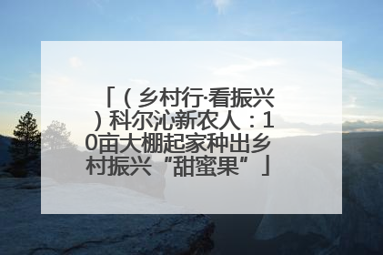 （乡村行·看振兴）科尔沁新农人：10亩大棚起家种出乡村振兴“甜蜜果”