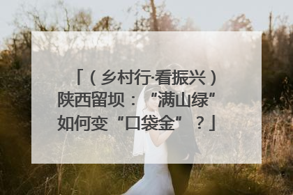（乡村行·看振兴）陕西留坝：“满山绿”如何变“口袋金”？