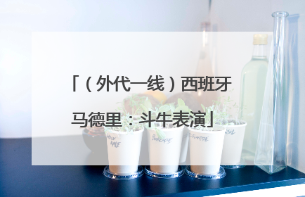 （外代一线）西班牙马德里：斗牛表演