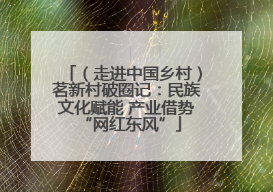 （走进中国乡村）茗新村破圈记：民族文化赋能 产业借势 “网红东风”