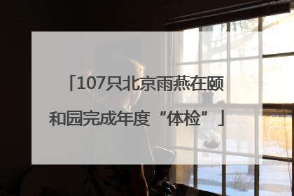 107只北京雨燕在颐和园完成年度“体检”