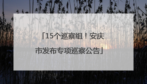 15个巡察组！安庆市发布专项巡察公告