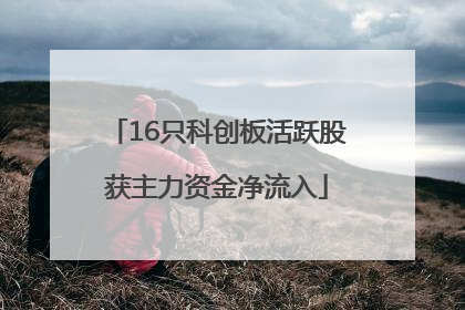 16只科创板活跃股获主力资金净流入
