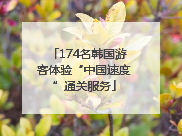 174名韩国游客体验“中国速度”通关服务
