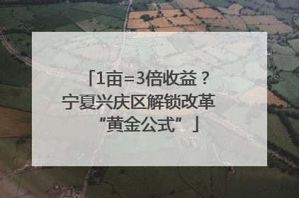 1亩=3倍收益？宁夏兴庆区解锁改革“黄金公式”