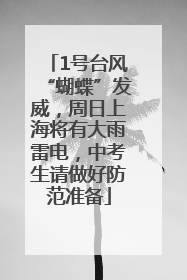 1号台风“蝴蝶”发威，周日上海将有大雨雷电，中考生请做好防范准备