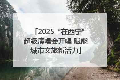 2025“在西宁”超级演唱会开唱 赋能城市文旅新活力
