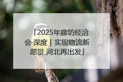 2025年廊坊经洽会·深度｜实现物流新愿景 河北再出发