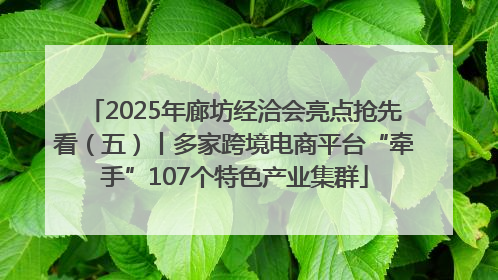 2025年廊坊经洽会亮点抢先看（五）丨多家跨境电商平台“牵手”107个特色产业集群