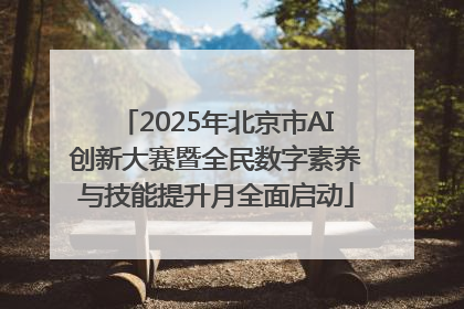 2025年北京市AI创新大赛暨全民数字素养与技能提升月全面启动