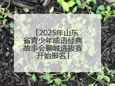 2025年山东省青少年成语经典故事会聊城选拔赛开始报名