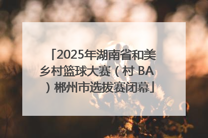 2025年湖南省和美乡村篮球大赛（村 BA）郴州市选拔赛闭幕