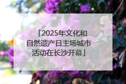 2025年文化和自然遗产日主场城市活动在长沙开幕