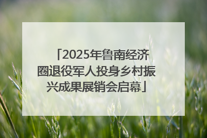2025年鲁南经济圈退役军人投身乡村振兴成果展销会启幕