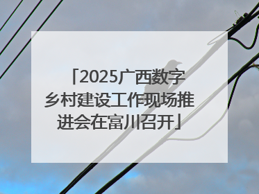 2025广西数字乡村建设工作现场推进会在富川召开