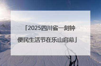 2025四川省一刻钟便民生活节在乐山启幕