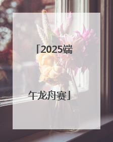 2025端午龙舟赛