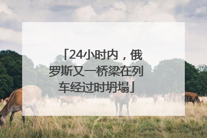 24小时内，俄罗斯又一桥梁在列车经过时坍塌