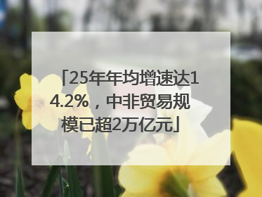 25年年均增速达14.2%，中非贸易规模已超2万亿元
