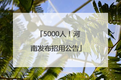 5000人！河南发布招用公告