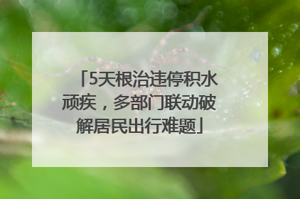 5天根治违停积水顽疾，多部门联动破解居民出行难题