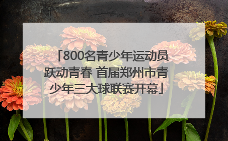 800名青少年运动员跃动青春 首届郑州市青少年三大球联赛开幕