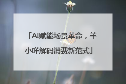 AI赋能场景革命，羊小咩解码消费新范式