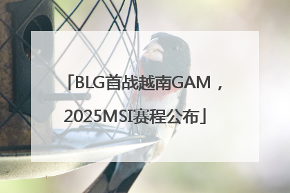 BLG首战越南GAM，2025MSI赛程公布