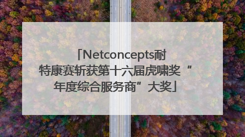 Netconcepts耐特康赛斩获第十六届虎啸奖“年度综合服务商”大奖