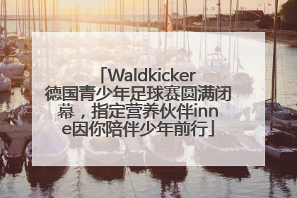 Waldkicker德国青少年足球赛圆满闭幕，指定营养伙伴inne因你陪伴少年前行