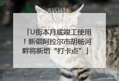 U街本月底竣工使用！新疆阿拉尔市胡杨河畔将新增“打卡点”